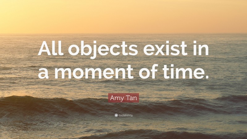 Amy Tan Quote: “All objects exist in a moment of time.”