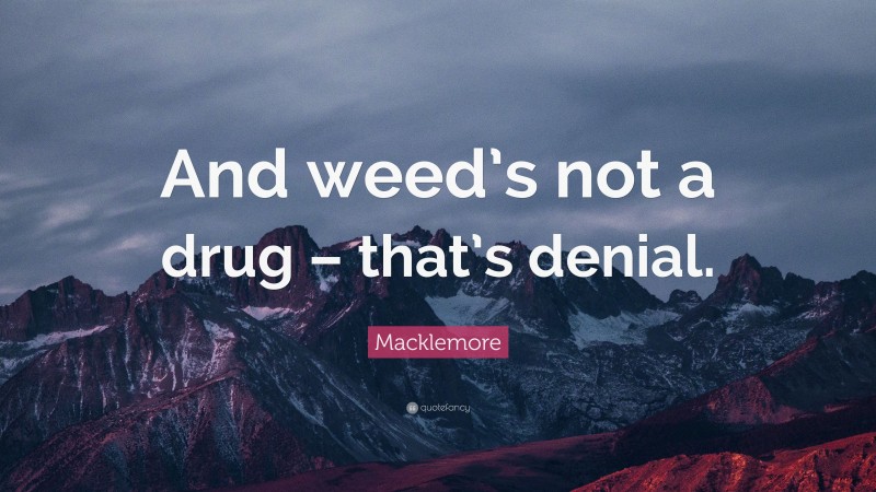 Macklemore Quote: “And weed’s not a drug – that’s denial.”