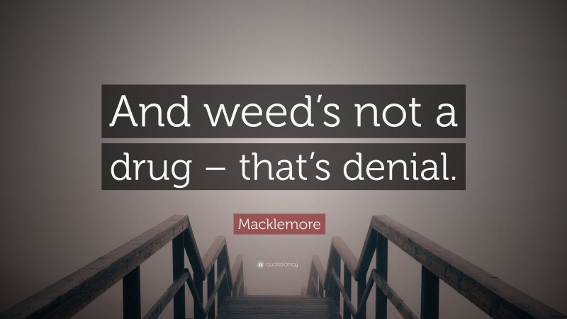 Macklemore Quote: “And weed’s not a drug – that’s denial.”