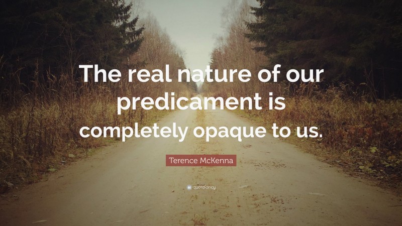 Terence McKenna Quote: “The real nature of our predicament is completely opaque to us.”