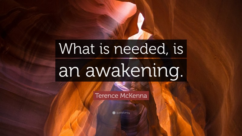 Terence McKenna Quote: “What is needed, is an awakening.”