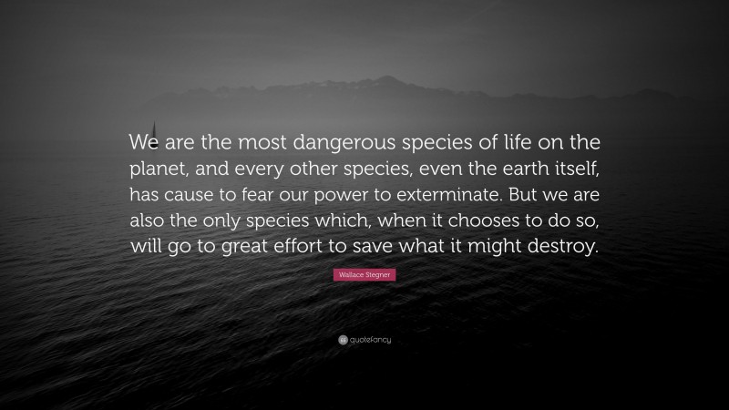 Wallace Stegner Quote: “We are the most dangerous species of life on the planet, and every other species, even the earth itself, has cause to fear our power to exterminate. But we are also the only species which, when it chooses to do so, will go to great effort to save what it might destroy.”