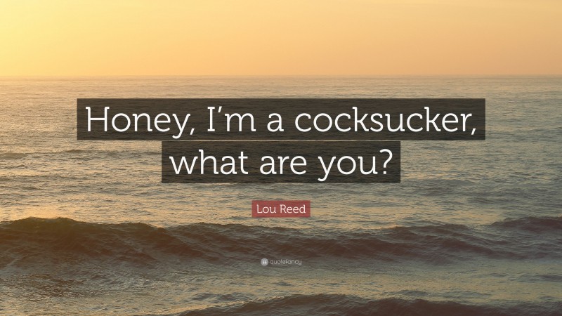 Lou Reed Quote: “Honey, I’m a cocksucker, what are you?”