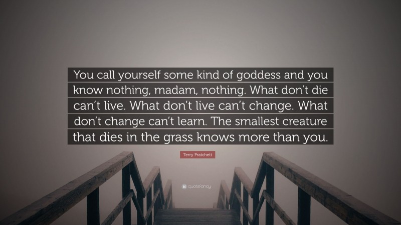 Terry Pratchett Quote: “You call yourself some kind of goddess and you know nothing, madam, nothing. What don’t die can’t live. What don’t live can’t change. What don’t change can’t learn. The smallest creature that dies in the grass knows more than you.”