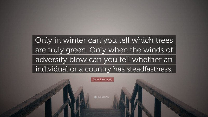 John F. Kennedy Quote: “Only in winter can you tell which trees are truly green. Only when the winds of adversity blow can you tell whether an individual or a country has steadfastness.”