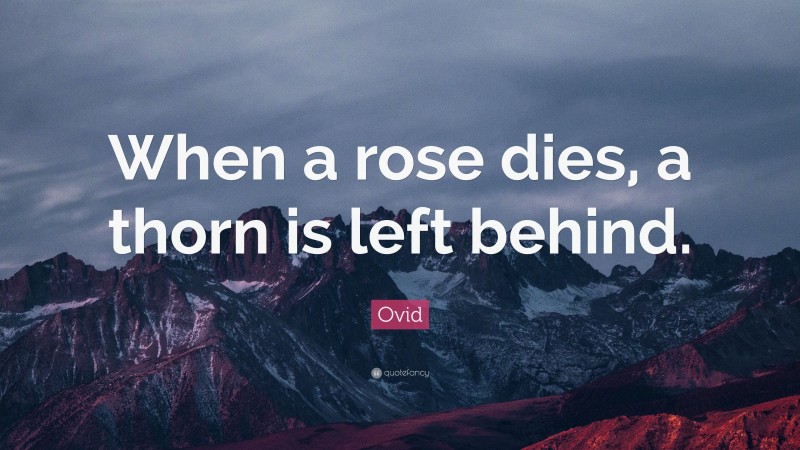 Ovid Quote: “When a rose dies, a thorn is left behind.”