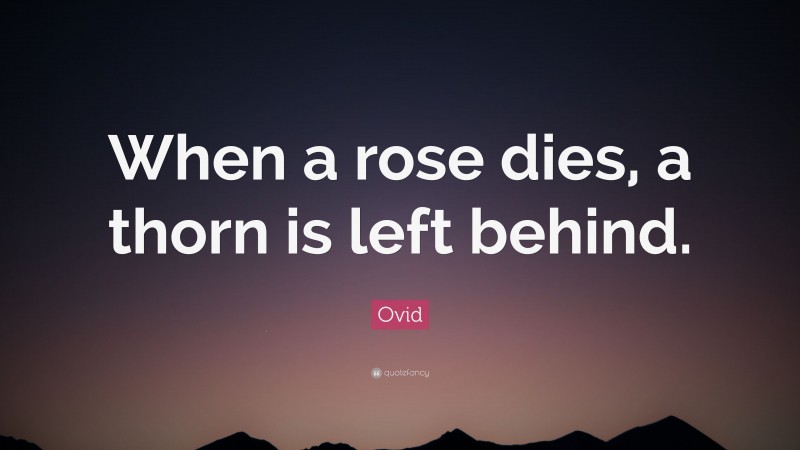 Ovid Quote: “When a rose dies, a thorn is left behind.”