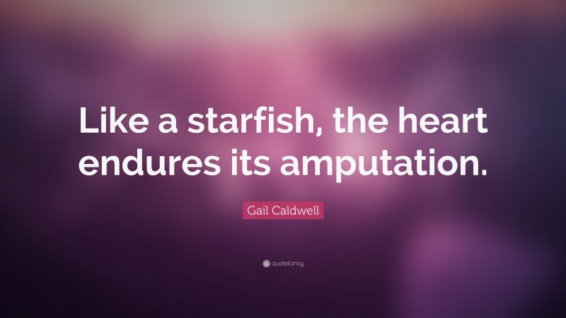 Gail Caldwell Quote: “Like a starfish, the heart endures its amputation.”