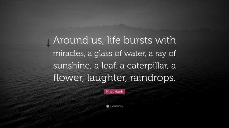 Nhat Hanh Quote: “Around us, life bursts with miracles, a glass of water, a ray of sunshine, a leaf, a caterpillar, a flower, laughter, raindrops.”