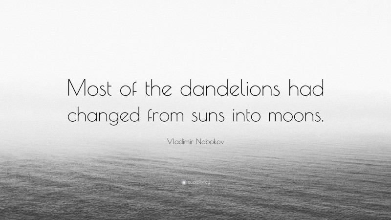 Vladimir Nabokov Quote: “Most of the dandelions had changed from suns into moons.”
