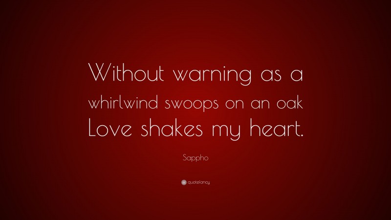 Sappho Quote: “Without warning as a whirlwind swoops on an oak Love shakes my heart.”