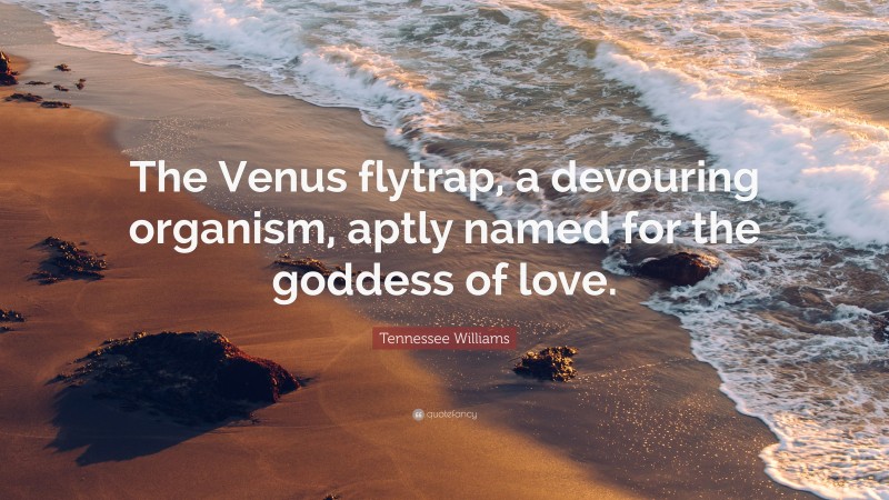 Tennessee Williams Quote: “The Venus flytrap, a devouring organism, aptly named for the goddess of love.”