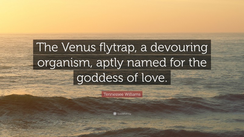 Tennessee Williams Quote: “The Venus flytrap, a devouring organism, aptly named for the goddess of love.”
