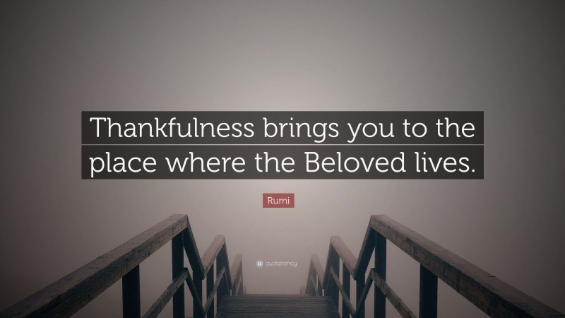 Rumi Quote: “Thankfulness brings you to the place where the Beloved lives.”