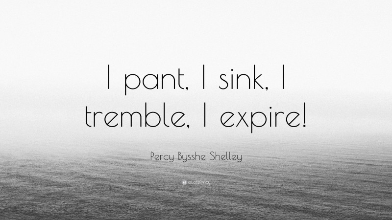 Percy Bysshe Shelley Quote: “I pant, I sink, I tremble, I expire!”