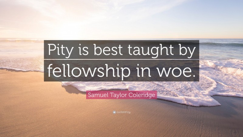 Samuel Taylor Coleridge Quote: “Pity is best taught by fellowship in woe.”