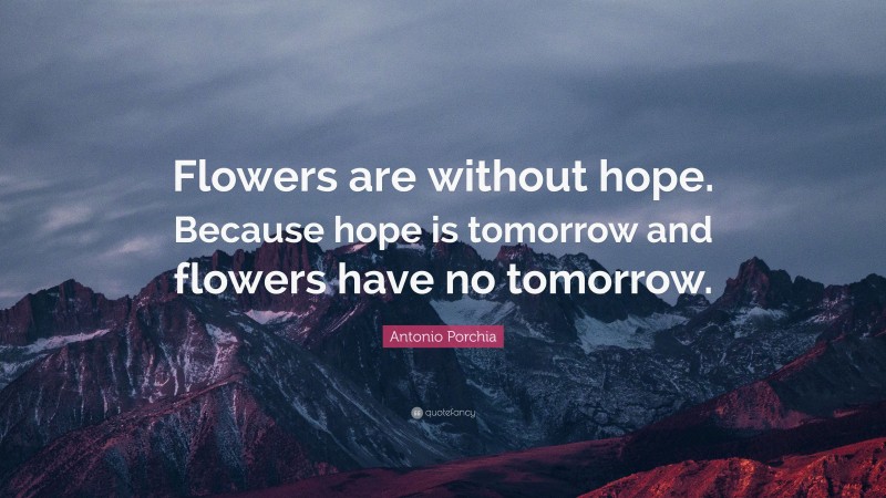 Antonio Porchia Quote: “Flowers are without hope. Because hope is tomorrow and flowers have no tomorrow.”
