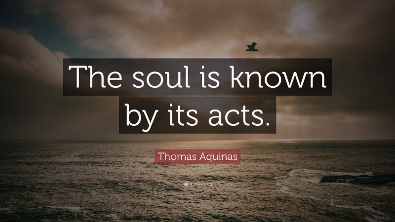 Thomas Aquinas Quote: “The soul is known by its acts.”