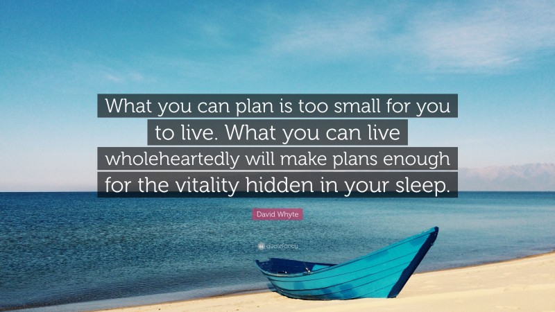 David Whyte Quote: “What you can plan is too small for you to live. What you can live wholeheartedly will make plans enough for the vitality hidden in your sleep.”