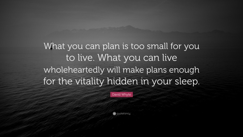 David Whyte Quote: “What you can plan is too small for you to live. What you can live wholeheartedly will make plans enough for the vitality hidden in your sleep.”