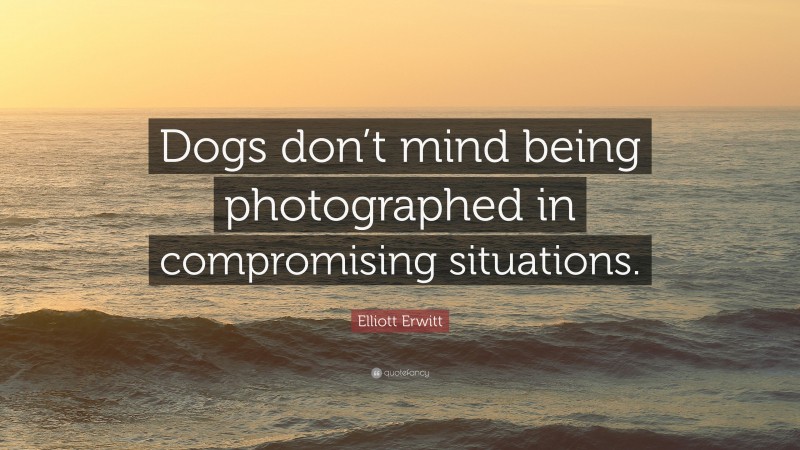 Elliott Erwitt Quote: “Dogs don’t mind being photographed in compromising situations.”