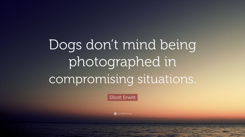 Elliott Erwitt Quote: “Dogs don’t mind being photographed in compromising situations.”