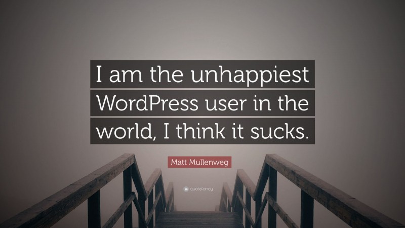 Matt Mullenweg Quote: “I am the unhappiest WordPress user in the world, I think it sucks.”