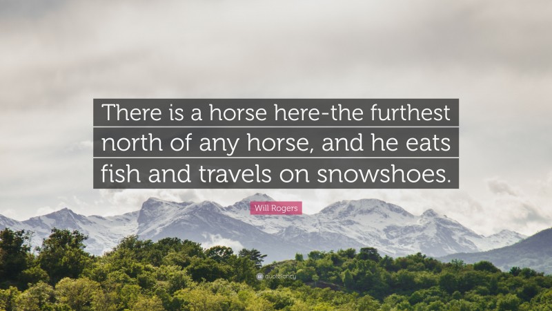 Will Rogers Quote: “There is a horse here-the furthest north of any horse, and he eats fish and travels on snowshoes.”