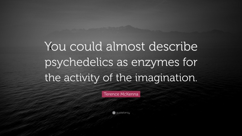 Terence McKenna Quote: “You could almost describe psychedelics as enzymes for the activity of the imagination.”
