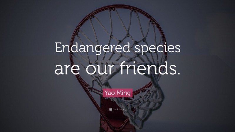 Yao Ming Quote: “Endangered species are our friends.”