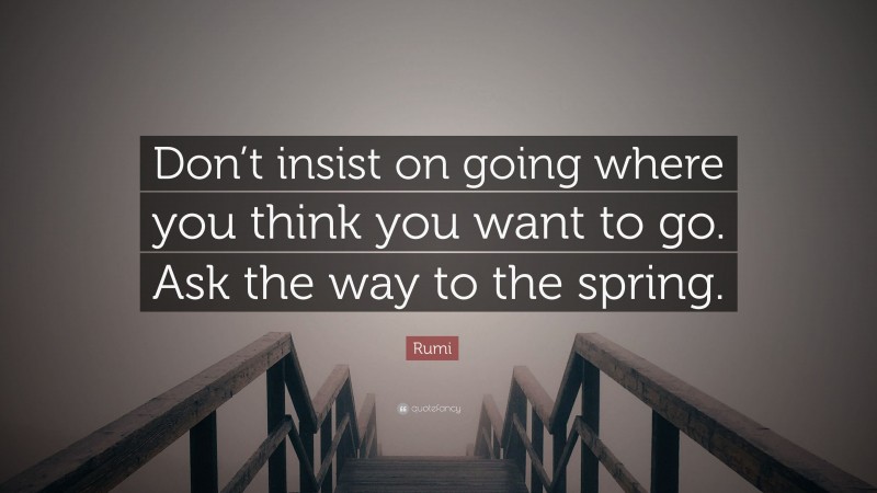 Rumi Quote: “Don’t insist on going where you think you want to go. Ask the way to the spring.”