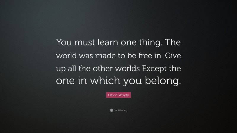 David Whyte Quote: “You must learn one thing. The world was made to be free in. Give up all the other worlds Except the one in which you belong.”
