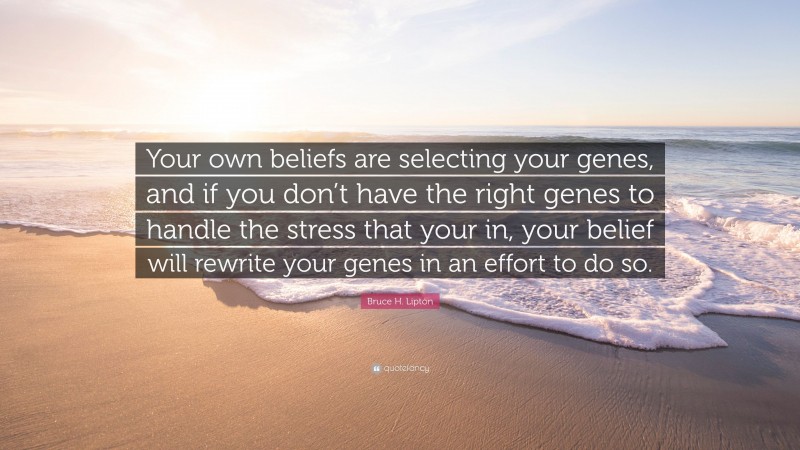 Bruce H. Lipton Quote: “Your own beliefs are selecting your genes, and if you don’t have the right genes to handle the stress that your in, your belief will rewrite your genes in an effort to do so.”