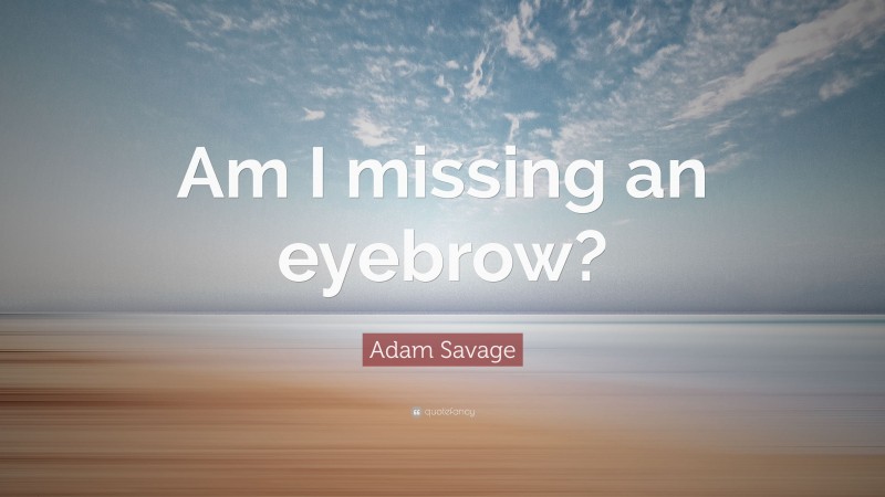 Adam Savage Quote: “Am I missing an eyebrow?”