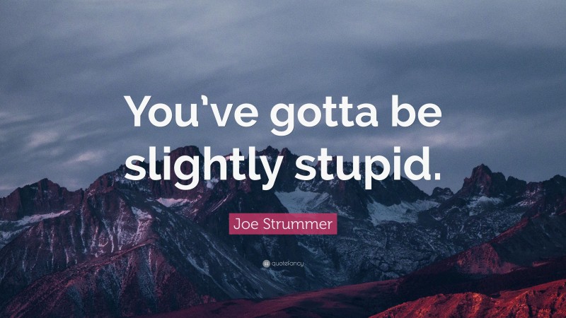 Joe Strummer Quote: “You’ve gotta be slightly stupid.”