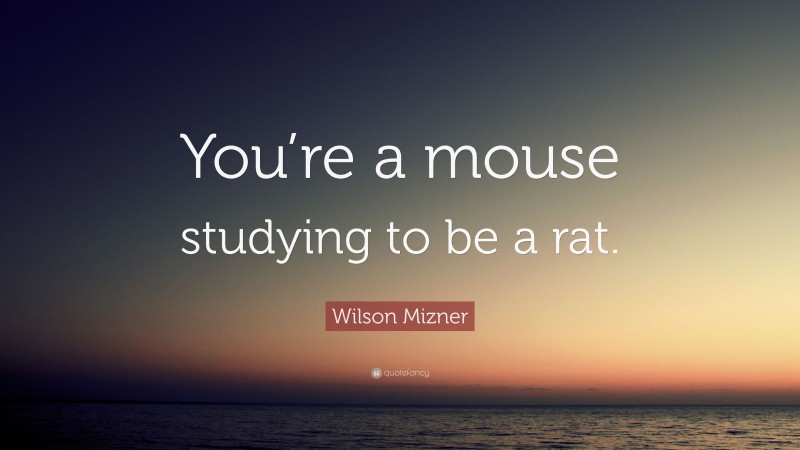 Wilson Mizner Quote: “You’re a mouse studying to be a rat.”