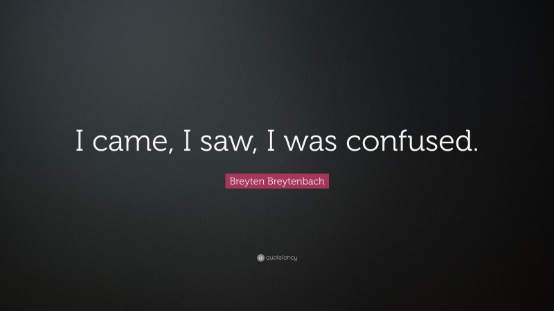 Breyten Breytenbach Quote: “I came, I saw, I was confused.”
