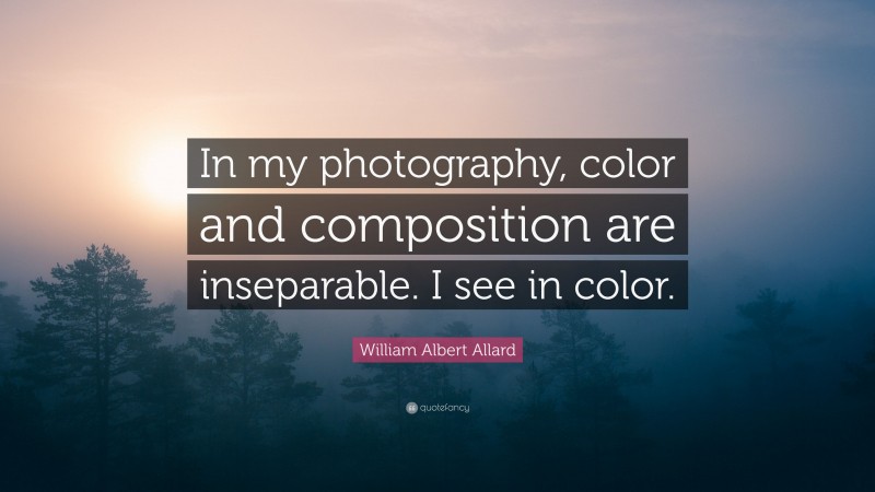 William Albert Allard Quote: “In my photography, color and composition are inseparable. I see in color.”
