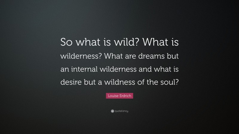 Louise Erdrich Quote: “So what is wild? What is wilderness? What are dreams but an internal wilderness and what is desire but a wildness of the soul?”