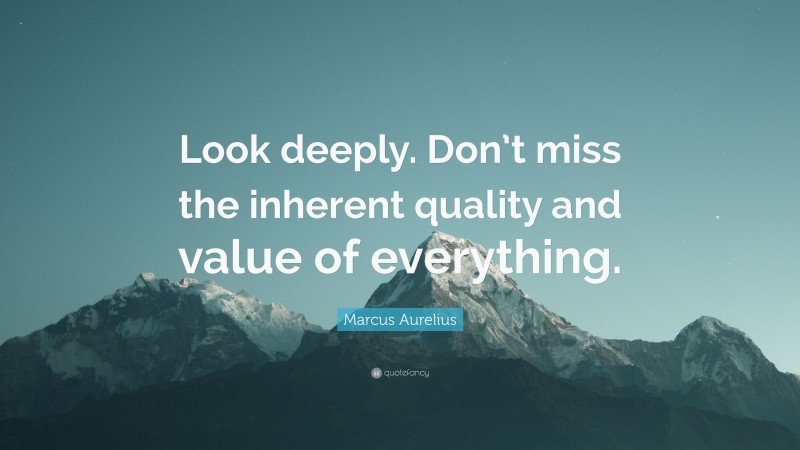 Marcus Aurelius Quote: “Look deeply. Don’t miss the inherent quality and value of everything.”