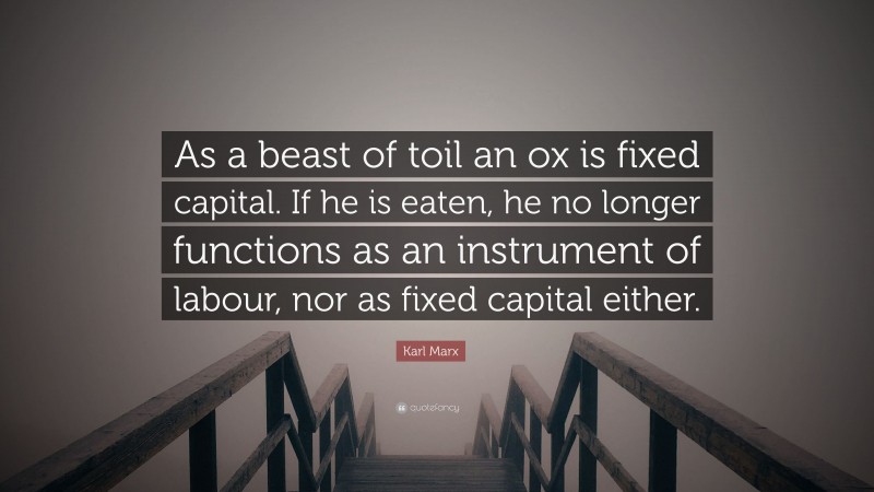 Karl Marx Quote: “As a beast of toil an ox is fixed capital. If he is eaten, he no longer functions as an instrument of labour, nor as fixed capital either.”