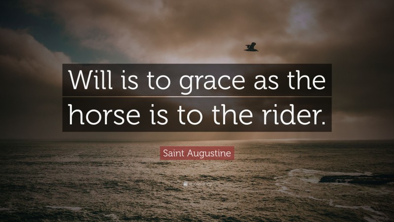 Saint Augustine Quote: “Will is to grace as the horse is to the rider.”