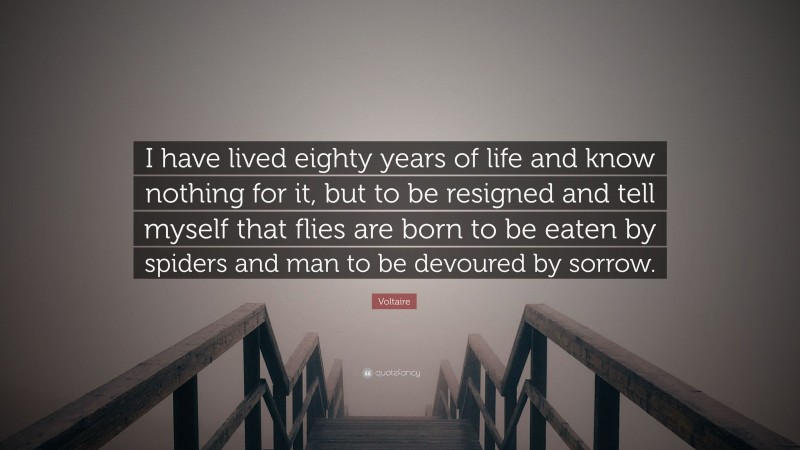 Voltaire Quote: “I have lived eighty years of life and know nothing for it, but to be resigned and tell myself that flies are born to be eaten by spiders and man to be devoured by sorrow.”