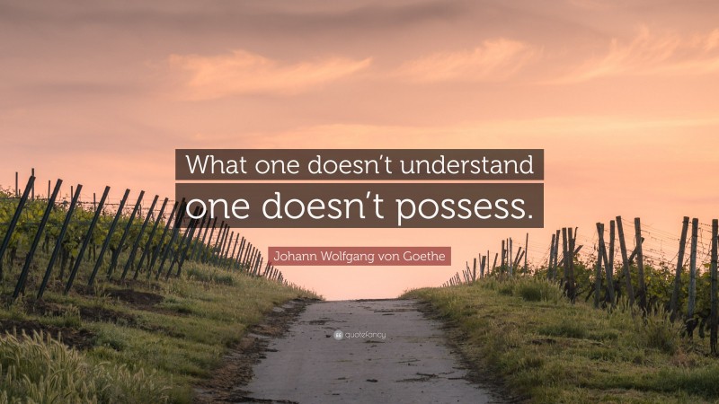 Johann Wolfgang von Goethe Quote: “What one doesn’t understand one doesn’t possess.”