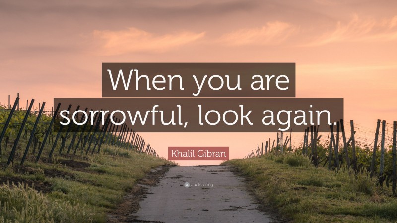 Khalil Gibran Quote: “When you are sorrowful, look again.”