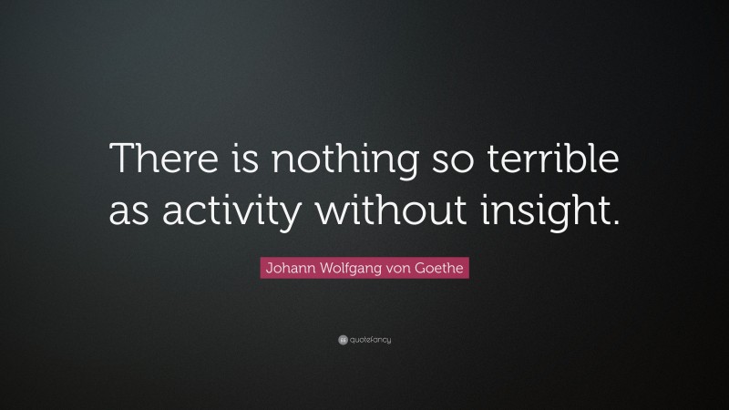 Johann Wolfgang von Goethe Quote: “There is nothing so terrible as activity without insight.”