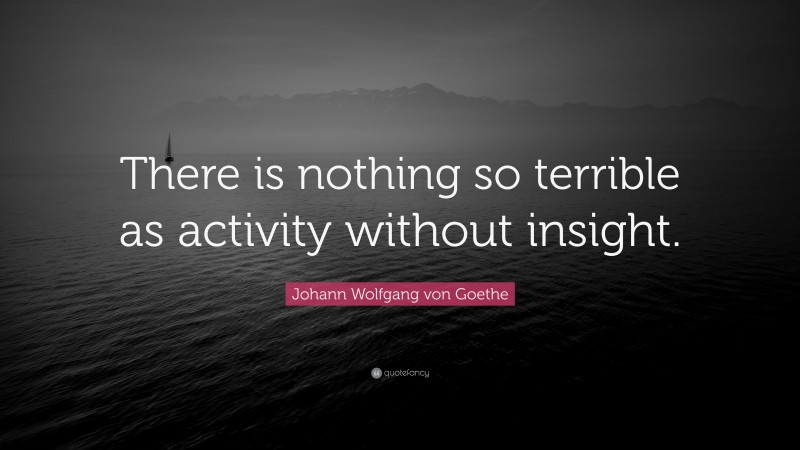 Johann Wolfgang von Goethe Quote: “There is nothing so terrible as activity without insight.”