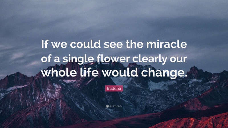 Buddha Quote: “If we could see the miracle of a single flower clearly our whole life would change.”