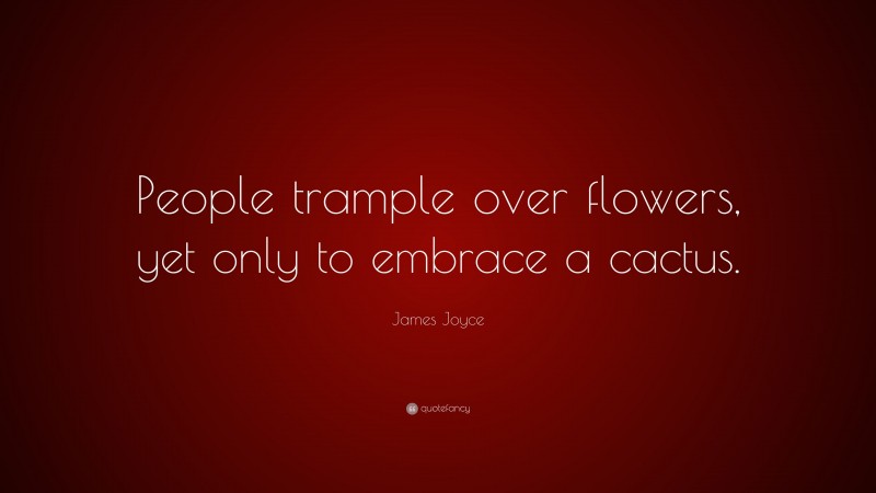 James Joyce Quote: “People trample over flowers, yet only to embrace a cactus.”