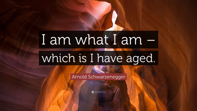 Arnold Schwarzenegger Quote: “I am what I am – which is I have aged.”